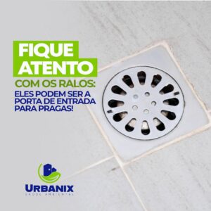 Snapinsta.app_1080_324573237_925130228869893_4085744551509025923_n